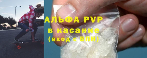 хмурый Абаза