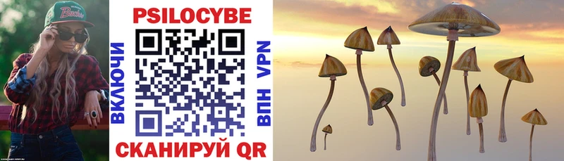 Псилоцибиновые грибы Psilocybine cubensis  купить   Тутаев 