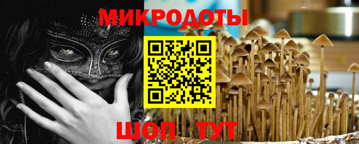 Тутаев  где продают   Вход с VPN  Псилоцибиновые грибы Cubensis  Псилоцибиновые грибы Cubensis 