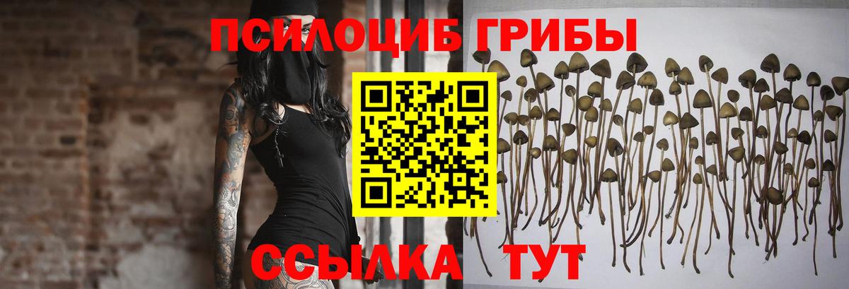 Галлюциногенные грибы мухоморы Тутаев