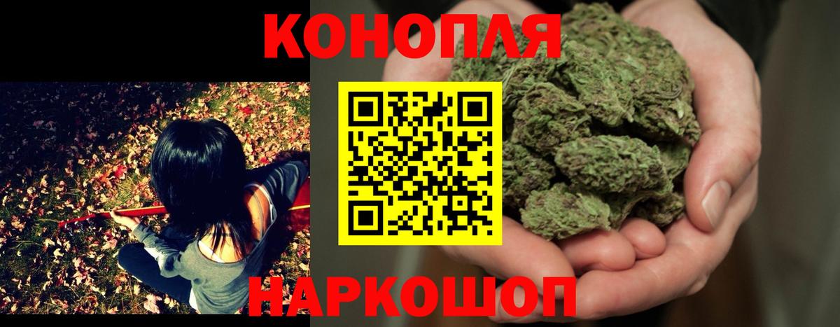 Конопля OG Kush Тутаев